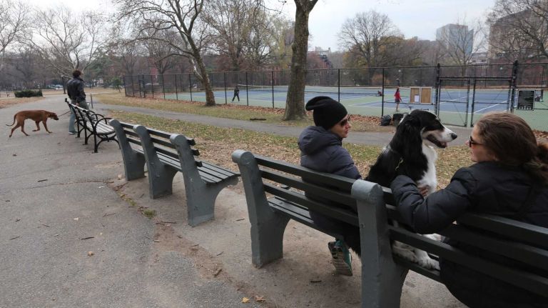 Relaxing near the tennis courts in Fort Greene Park. (Dec. 4, 2013)