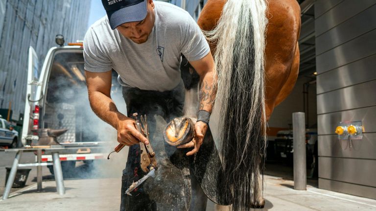 With the mobile horseshoe shop in the background Martinez puts a shoe on Centennial.