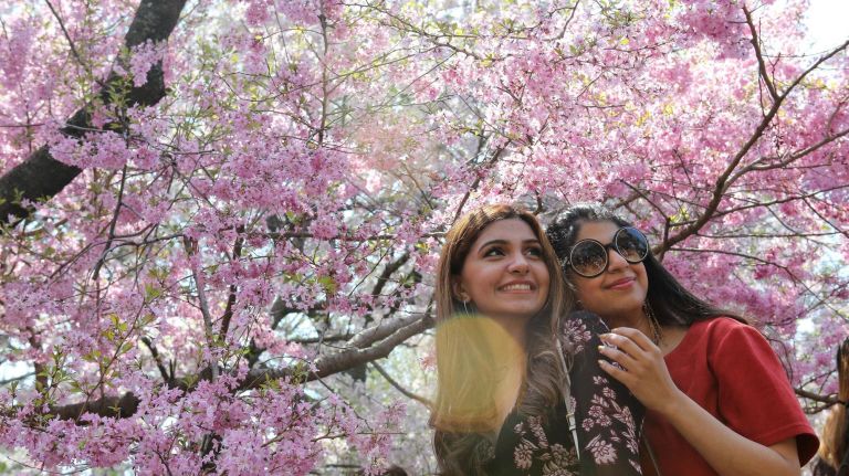 Laila Iqbal, left, and sister, Palwasha, of Huntington, Long Island, pose under a cherry tree.