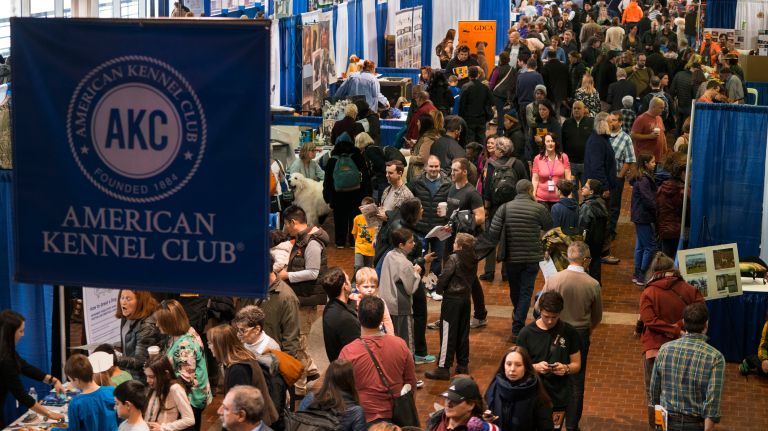 Westminster Kennel Club Dog Show brings top canines to NYC 171 People mingle at the Masters Agility Championship and AKC Meet the Breeds day in New York Saturday, Feb. 11, 2017.