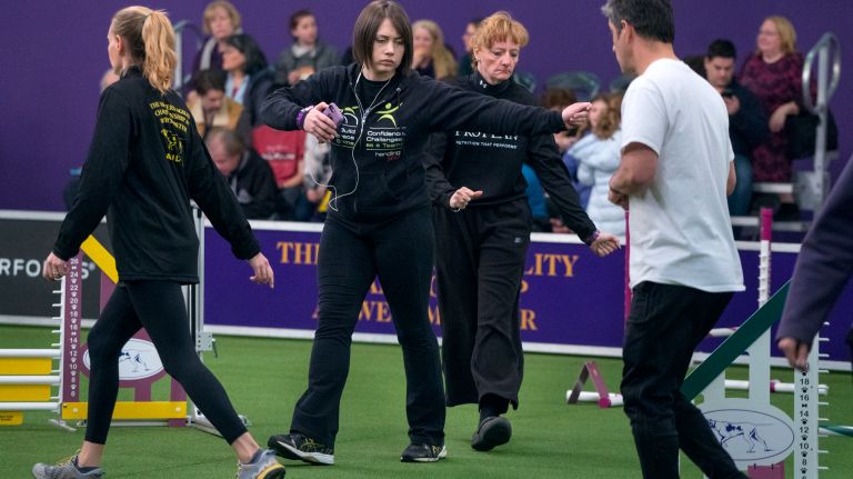 Westminster Kennel Club Dog Show brings top canines to NYC 172 Handlers take to the agility course for practice without their dogs at the Masters Agility Championship of the Westminster Kennel Club in New York Saturday, Feb. 11, 2017.