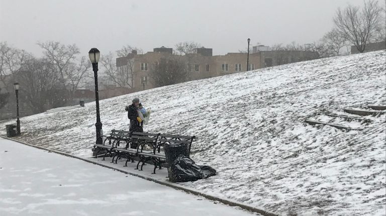 Snow in NYC: Photos from winter 2016-2017 68 A woman walks her dog through a snowy Sunset Park in Brooklyn on Jan. 7, 2017.