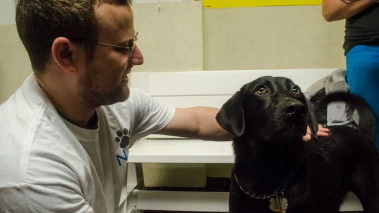 Animal Lighthouse Rescue reunites rescued dogs from Puerto Rico at NYC party 9 Eric Knapp, co-founder of Animal Lighthouse Rescue and doggie-family matchmaker, had a moment with Finn, a black lab and Chihuahua mix. Knapp said his job is to walk families through the adoption process, which can take up to two weeks, and make sure the dog they're adopting is
