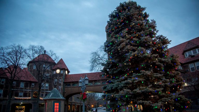 A Christmas tree at Station Square near the Forest Hills LIRR train station on Dec. 28, 2015. 