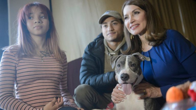 From left: Maya Fairweather,  Carlos  Guzman  and Jean Shafiroff, a member of the Southampton Animal Shelter,  at a news conference during the hero's event in Manhattan on Thursday, Dec. 8, 2016. Apollo, a 5-month-old pit bull, fended off a man  who tried  to sexually assault Fairweather in a park in Brooklyn.