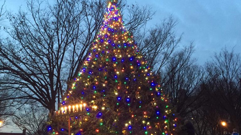NYC Christmas trees: Public lightings, viewings and more 4 See the lights in Park Slope at the J.J. Byrne Playground, where a Christmas tree and larger-than-life menorah are on display for the holidays. (Fifth Avenue near Fourth Street, Brooklyn)