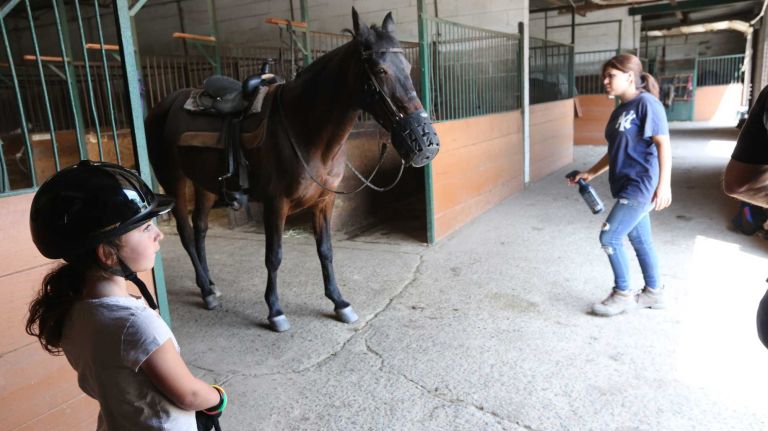 Bergen Beach 47 Rebecca Bukobza, 7, waits for her lesson to begin at the Jamaica Bay Riding Academy in Bergen Beach, Brooklyn, July 3, 2015.