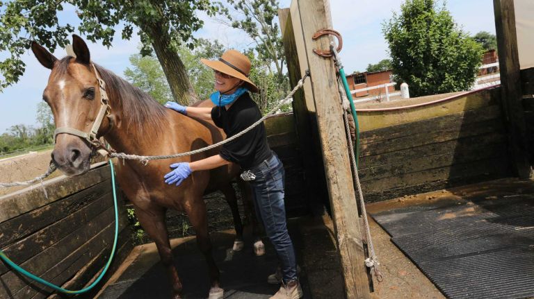 Bergen Beach 56 Kathleen Calise grooms her horse,