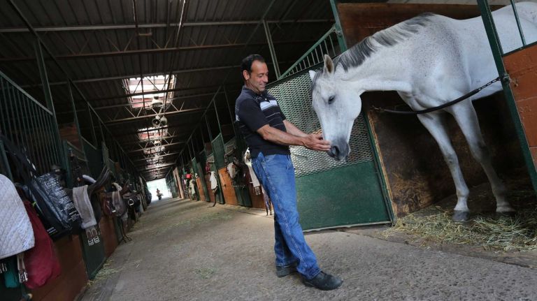Bergen Beach 58 Anthony Danza, co-owner of the Jamaica Bay Riding Academy, with his horse, Freddy, in Bergen Beach, Brooklyn, July 3, 2015.