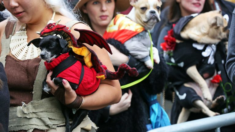 Hundreds of dogs and their owners show up to strut their stuff in the annual Halloween Dog Parade at Tompkins Square Park, Manhattan, October 22, 2016.