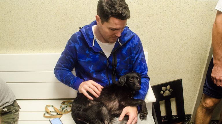 Animal Lighthouse Rescue reunites rescued dogs from Puerto Rico at NYC party 12 Mara, a black Chihuahua spaniel mix, belonged to a dog hoarder in Puerto Rico up until a month ago, Sinaw said. The hoarder had owned as many as 200 dogs. For now, Mara is living with Sinaw and her boyfriend, Randy Malm (pictured).