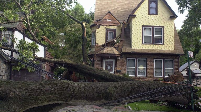 Although Hurricane Isabel was downgraded to an extratropical storm before it hit the New York metro area, NOAA said tropical storm-force winds were reported at Kennedy Airport. Property damage in the New York City area was estimated at $45 million, mainly from strong winds, NOAA reported. Pictured: A large tree sits on two houses on Eton Street in Jamaica Estates, Queens on Sept. 19, 2003. It had been knocked down by strong winds from Isabel.