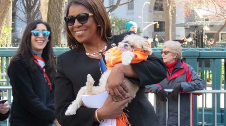 Instagram star Marnie the Dog is carried down Broadway in the first NYC Paws Parade and Adoptapalooza, organized by the ASPCA and the Mayor's Alliance for NYC's Animals, on April 10, 2016.