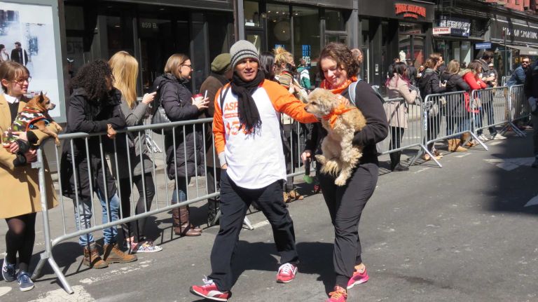 A dog is carried down Broadway in the first NYC Paws Parade and Adoptapalooza, organized by the ASPCA and the Mayor's Alliance for NYC's Animals, on April 10, 2016.