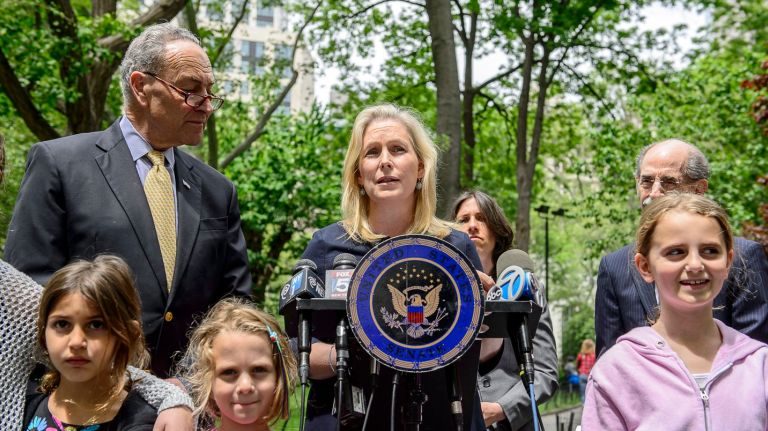 Sen. Kirsten Gillibrand  and Sen. Chuck Schumer called for more funding to fight the Zika virus at aa news conference in Madison Square Park on Sunday, May 22, 2016.