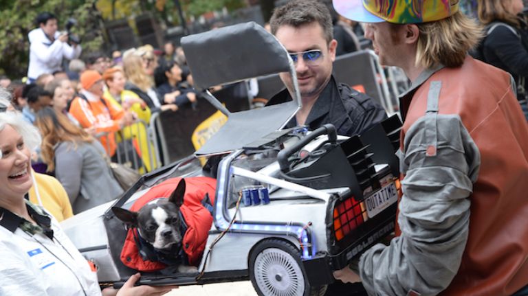 Agnes, a French bulldog and winner of the first place prize in the second round of the parade, dressed as Marty McFly. She even got a lift in her remote control-operated DeLorean.