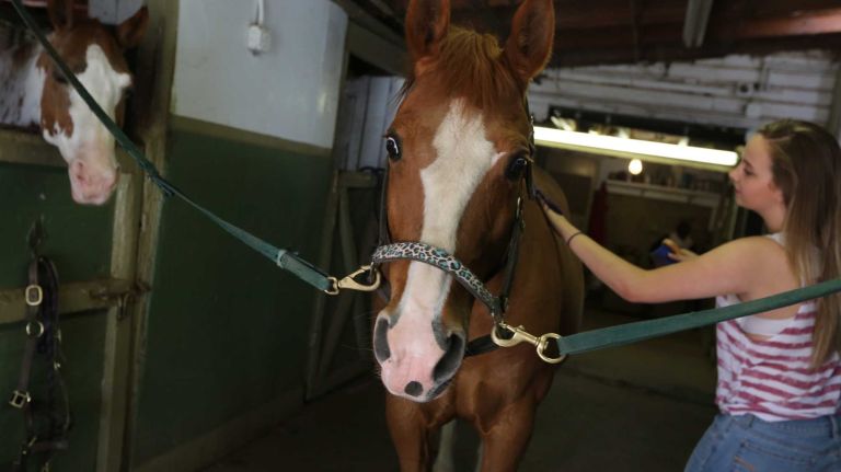 Jordyn Krute, 16, with her horse, Nonni, at the Seguine Equestrian Center, in Prince's Bay, Staten Island, Friday, May 22, 2015.
