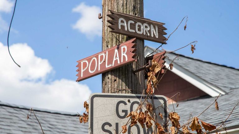 Some street signs are wooden in Silver Beach.