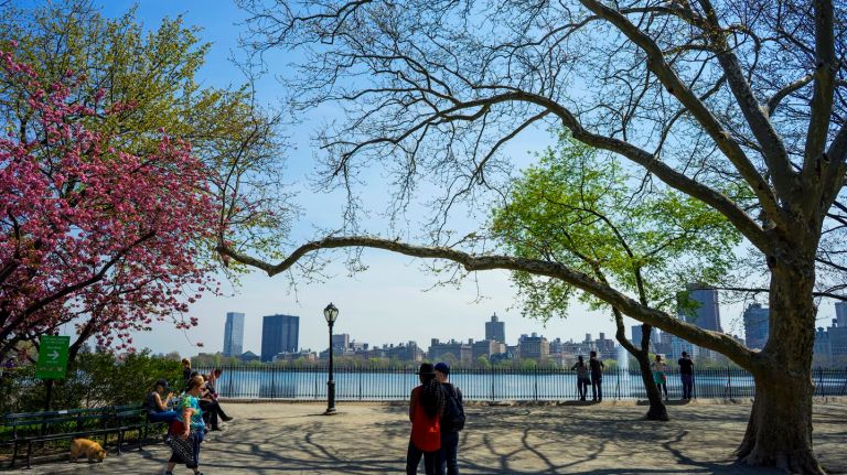 The city's air quality is improving, according to a report released by New York City's Department of Health.