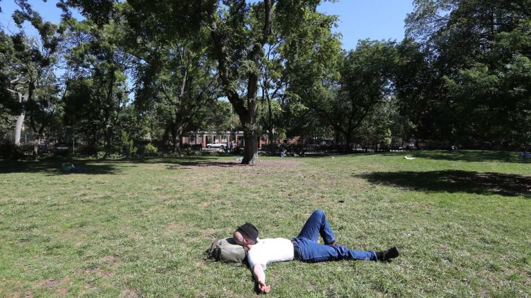 A visitor takes a nap on the lawn in Tompkins Square Park.