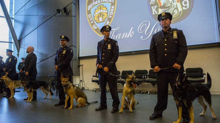 NYPD officers stand with canine graduates at the New York City Police Academy in Queens on Tuesday, Oct. 6, 2015. 