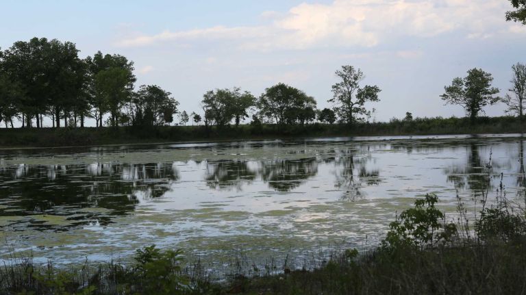 The view of Wolfe's Pond from Holten Ave. in Prince's Bay, Staten Island, Friday, May 22, 2015.