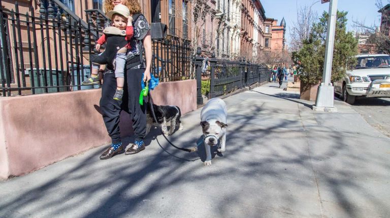 Janessa Kram, son Kai and dogs Lola, left, and Lex right in the Clinton Hill neighborhood of Brooklyn on April 6, 2015. Neighborhood Feature on Clinton HIll.