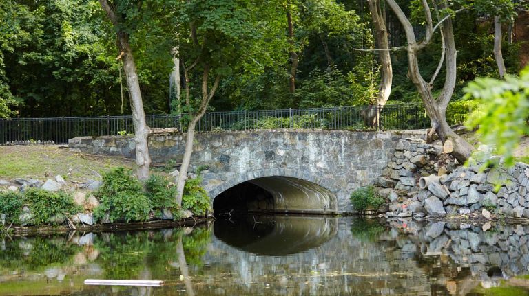 The pond and bridge at Sands Point Preserve will soon be surrounded by the colors of fall.