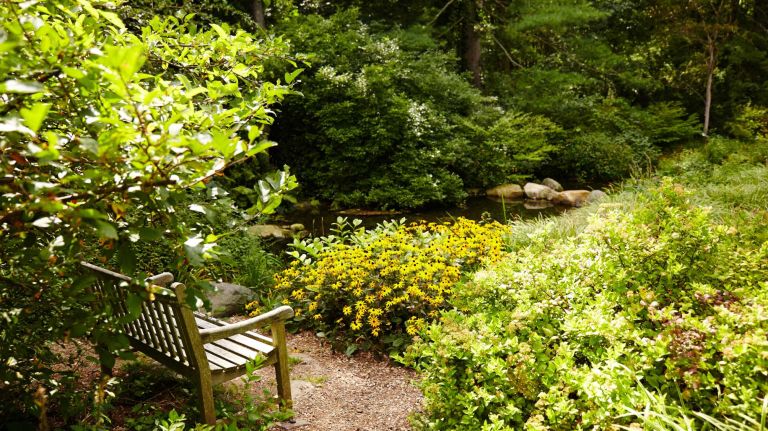Come late September, the 509-acre Planting Fields Arboretum in Oyster Bay will be filled with colorful foliage, including a maple tree collection with about 50 different species.