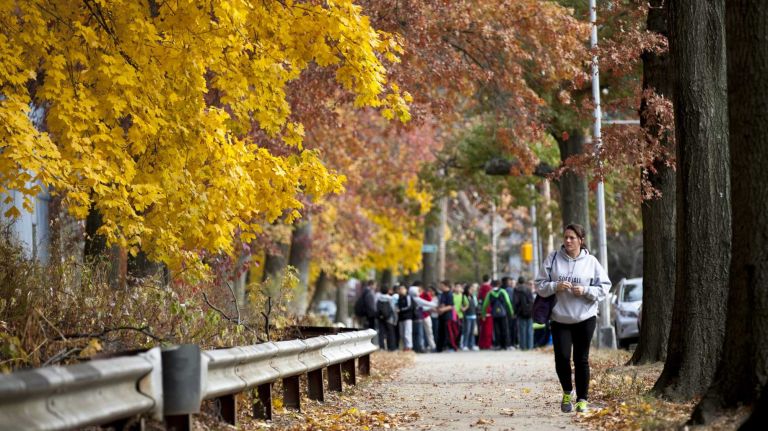 The Woodlawn neighborhood is wedged between 1,186-acre Van Cortlandt Park, pictured here, and Woodlawn Cemetery