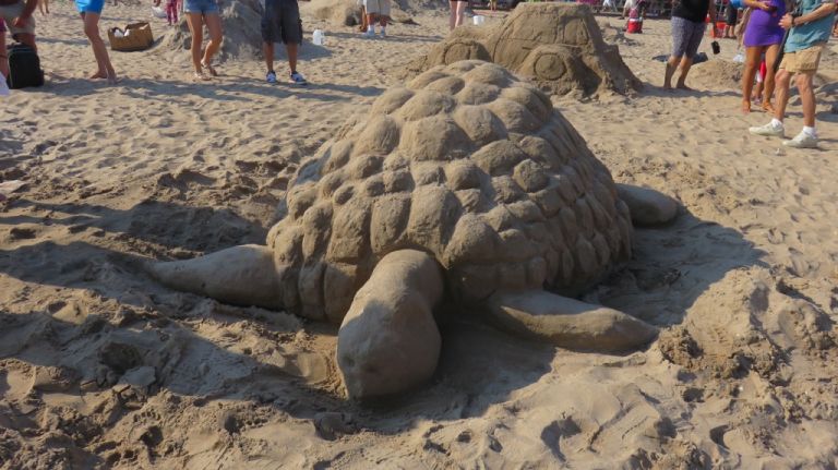 A sea turtle created by Rob Marino and Katri Rainhold. 