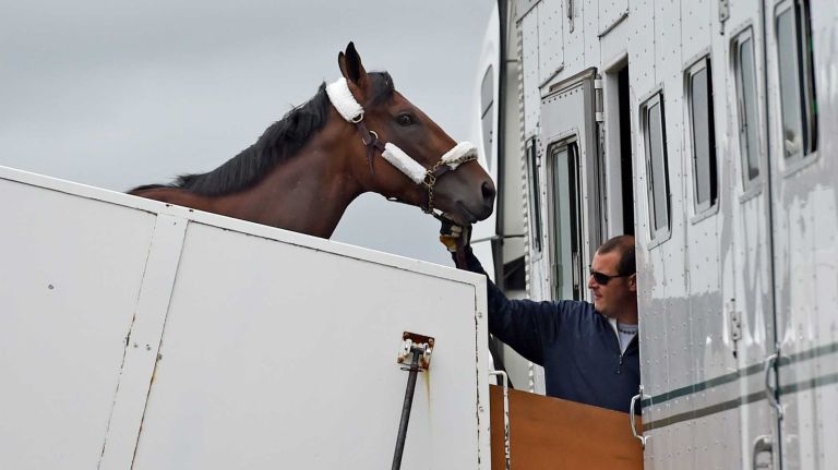 Triple Crown hopeful American Pharoah arrives at Long Island MacArthur Airport on June 2, 2015