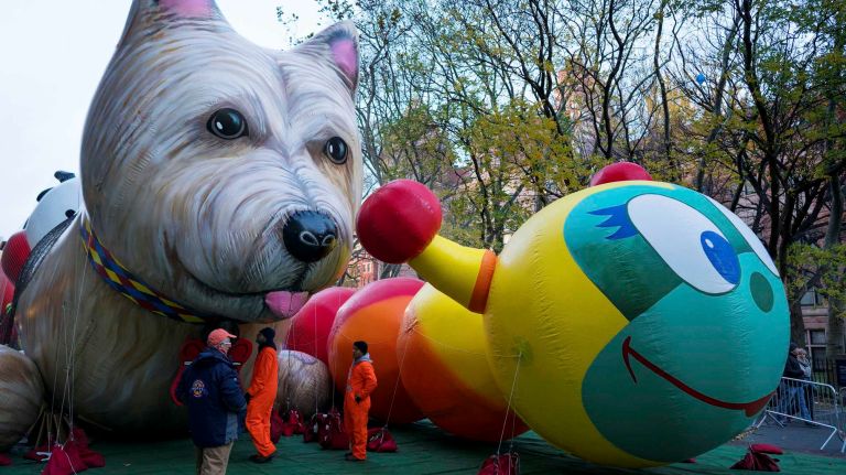 The Trixie the Dog and Wiggleworm balloons are inflated on West 77th Street on Wednesday, Nov. 23, 2016, a day before the 90th Macy's Thanksgiving Day Parade in Manhattan. 