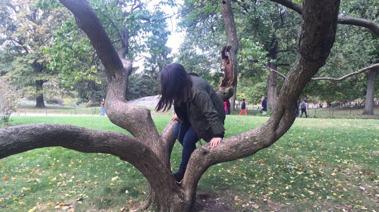 NYC park rules New Yorkers frequently break: Climbing trees, flying flags, more 12 Stick to the monkey bars when you feel the need to climb on something because it's illegal to scale a tree, wall, fence, shrub or fountain, and more. A total of six people were cited for unlawful entry to, or climbing on, Parks property from July through September.