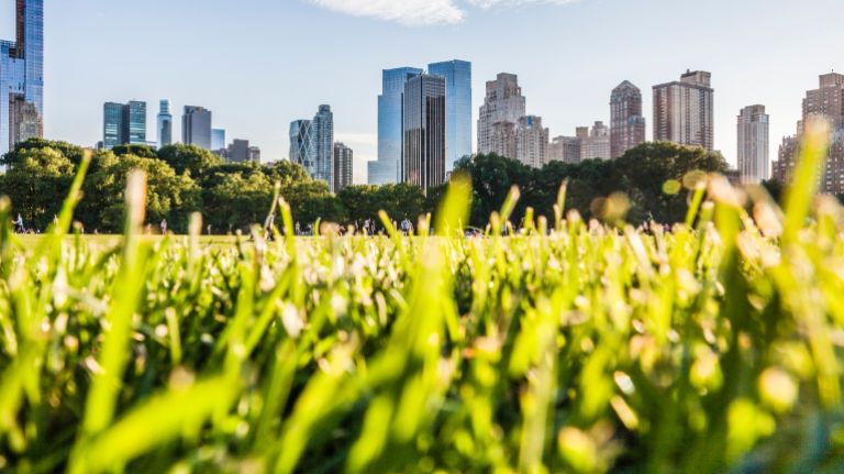 Manhattan skyline, view from Central Park.
