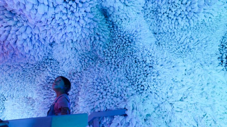 Stella Vettori, 6, takes in the "Rainbow Room," made with 44,000 plastic bags, at the Arcadia Earth pop-up exhibit in the East Village.