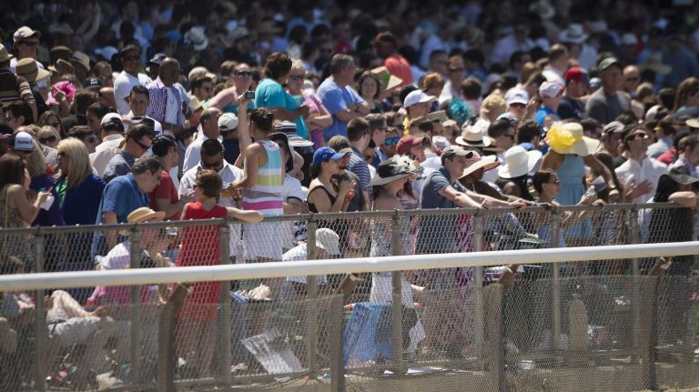 Crowds watch the races at the 146th running of the Belmont Stakes on Saturday, June 7, 2014 at Belmont Park in Elmont.