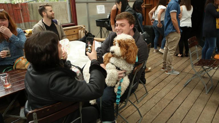 Dog lovers have a friend in Dig, a dating app for humans and their canines 2 Dog lovers will be able to meet and learn more about each other with their pals on hand.