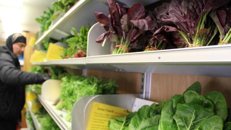 How NYC's greenmarkets, restaurants keep veggies fresh in the cold winter months 2 Lani's Farm uses a "veggie bus" to transport and keep vegetables at proper temperatures.