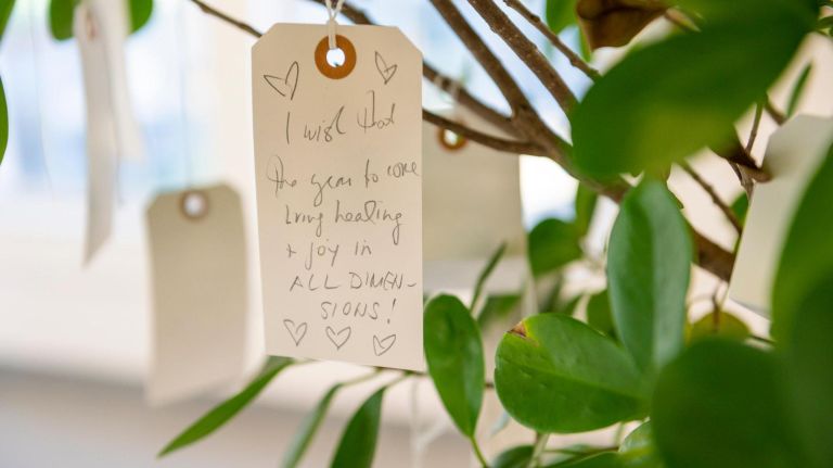 An installation by Yoko Ono called "Wish Tree" at LMCC's Arts Center at Governors Island.