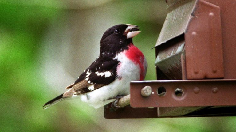 16 cheap outdoor thrills, ice skating to zoos 5 Jamaica Bay in Gateway National Recreation Area is a prime spot for birdwatching.