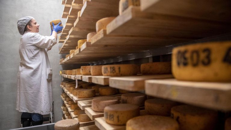Assistant cave master&nbsp;Krista Jacobsen rotates cheese inside the Alpine Cave.