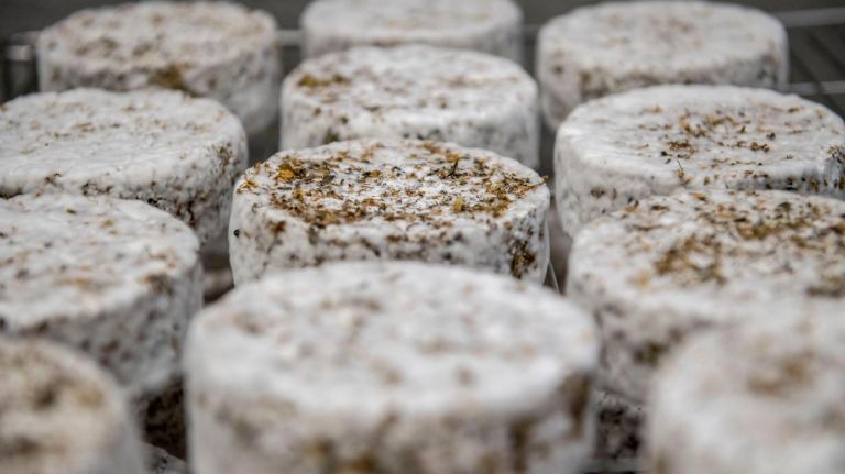 Cheeses may age up to two weeks, like this bloomy style, or over a year in the caves.&nbsp;