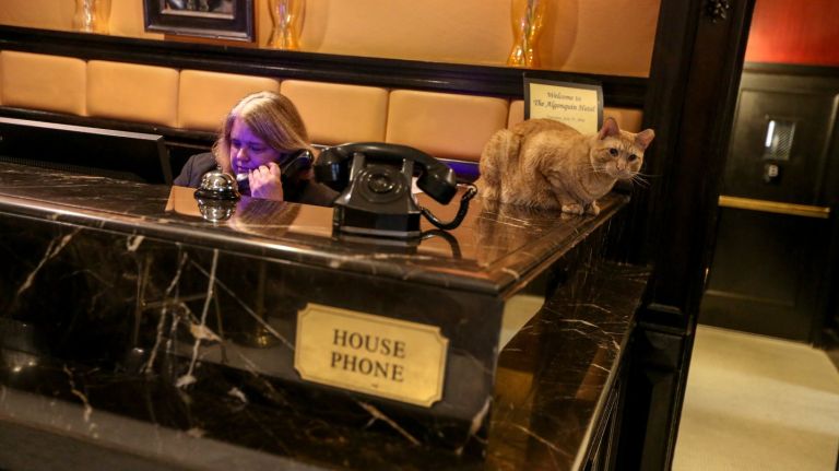 Hamlet VIII, at the Algonquin Hotel, where he takes up residence.