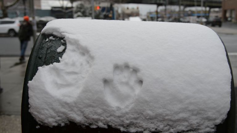 City sees about 1.5 inches of snow with chance of more, NWS says 1 About an inch of snow accumulated across the city on Tuesday, Jan. 30, 2018, the NWS said.