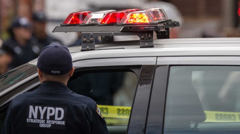 A Bronx boy stabbed a home invasion suspect in the Bronx after the man attacked his mother on Tuesday, April 25, 2017, police said.