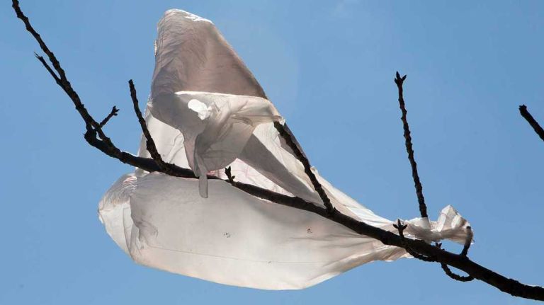 City Council may pass a bill to make plasic bags cost five cents in New York City.