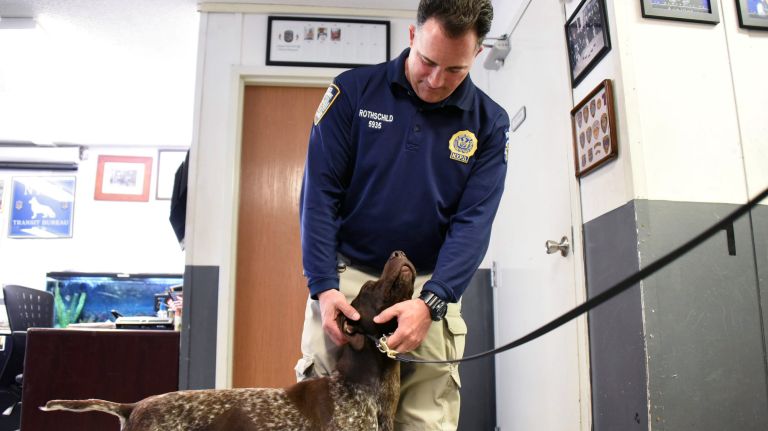 NYPD's lead Transit Canine instructor to oversee nation's oldest K-9 certification organization 3 Det. Wayne Rothschild gets an affectionate nuzzle from police canine Sully.