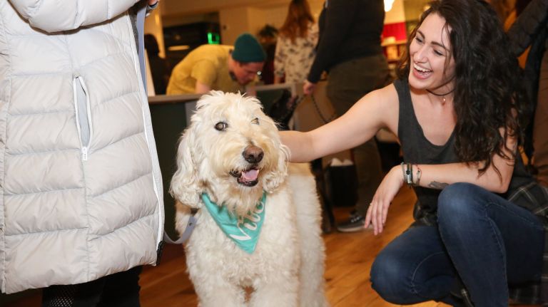 Dog lovers have a friend in Dig, a dating app for humans and their canines 1 Dig, the dog person's dating app, is throwing a dog speed dating event at Marmara Park Avenue on Thursday.