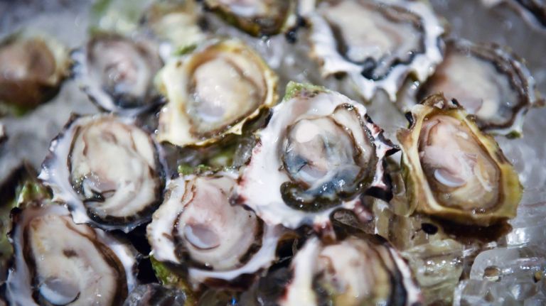 This Thanksgiving, add some oysters to your menu.